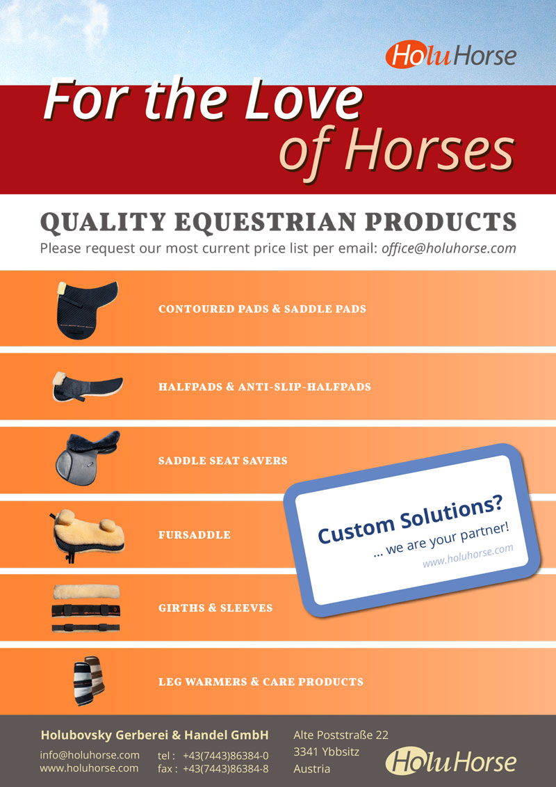Holuhorse-Flyer-English